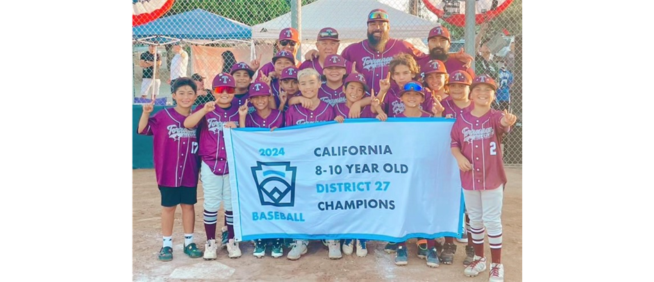 District 27 All Star Champs 10u