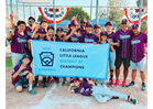 12u All Star Champions
